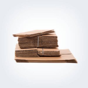 Woo Album #4